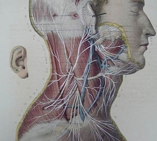 THE PIONEERS OF NEUROSCIENCE IN POLAND